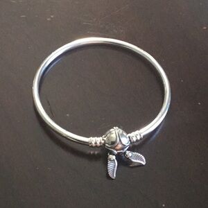 Pandora bracelet